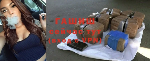 гашик Богданович