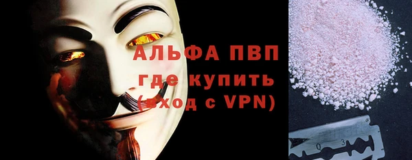 гашик Богданович