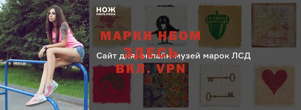 хмурый Долгопрудный