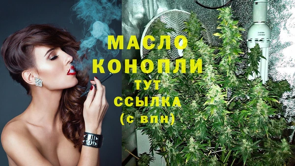 хмурый Долгопрудный