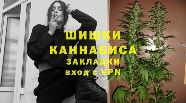 COCAINE Богородицк