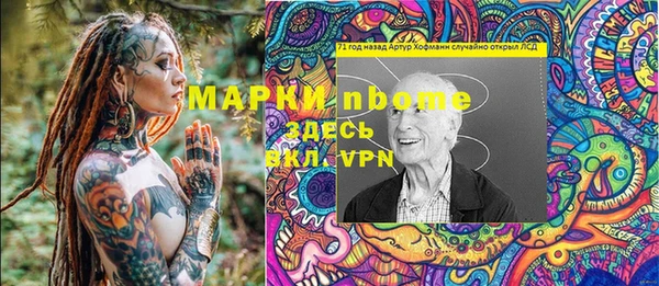 хмурый Долгопрудный